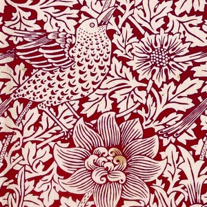 Bird and anemone square crop