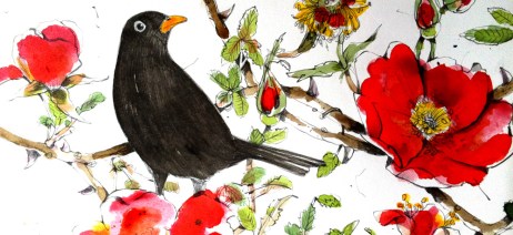 sarah-gabriel-blackbird